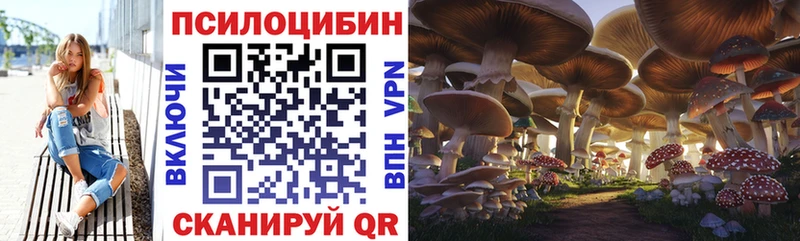 продажа наркотиков  Шуя  Псилоцибиновые грибы мицелий 